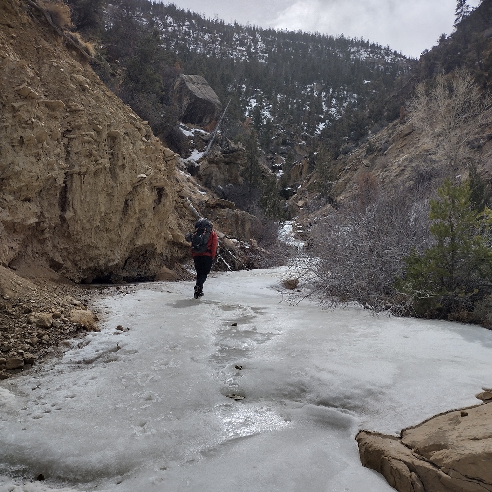 Welcome to my closet 💚 !!!!!! - Picture 10 of 16